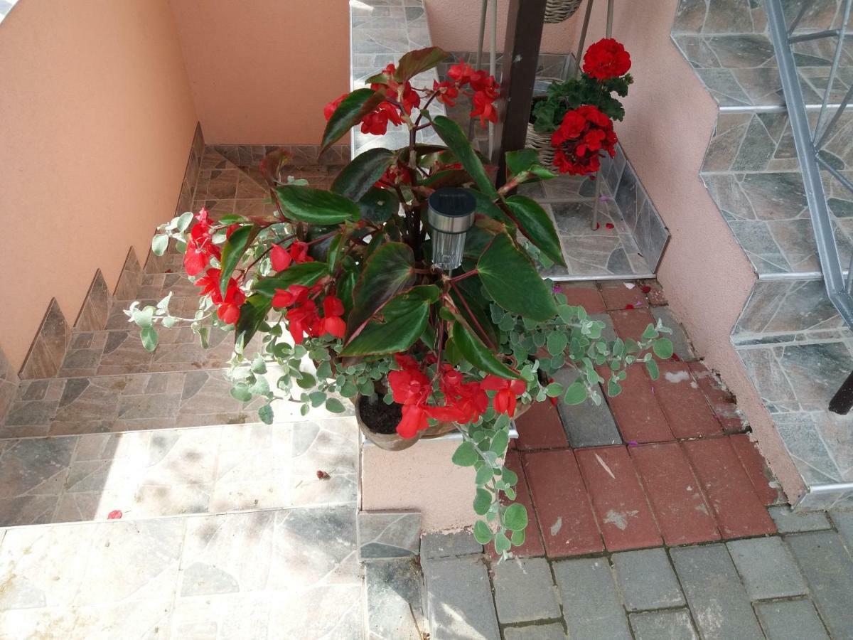Beata Vendeghaz Hotel Tokaj Exterior photo